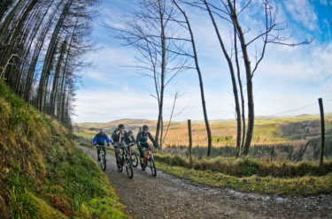 Mountain Bike Skills Training Level1